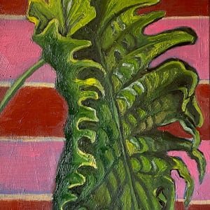 Philodendron by Nick Fyhrie