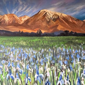 Bishop Landscape by Nick Fyhrie 