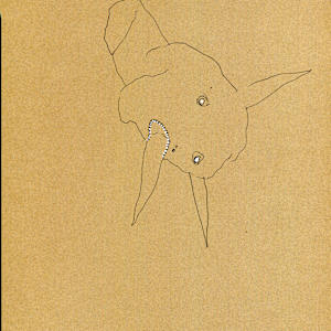 Bodies and Parts - 1.8 by Timothy Nero Studio