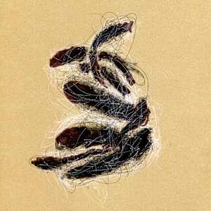 Thought Pile by Timothy Nero Studio