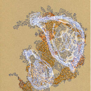 The Forms are Unequal by Timothy Nero Studio, Image 1.