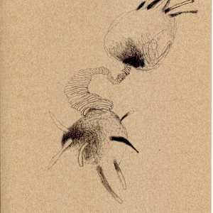 Transference by Timothy Nero Studio, Image 1.