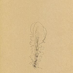 Bodies and Parts - 2.16 by Timothy Nero Studio