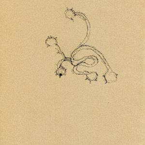 Bodies and Parts - 2.11 by Timothy Nero Studio