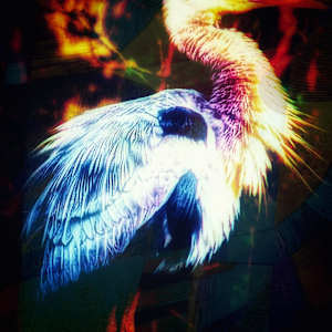 Home and Heart by Jennifer Ryan 