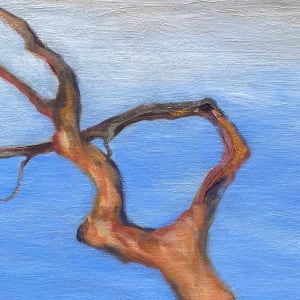 Arbutus Tree View by Terrill Welch  