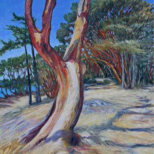 Arbutus on Saint John Point by Terrill Welch