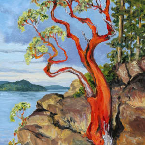 Arbutus Glowing After the Rains by Terrill Welch