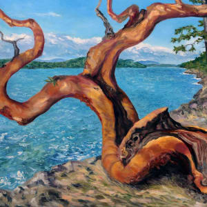 Arbutus Tree in Breaking Sun by Terrill Welch 