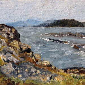 Edith Point Study by Terrill Welch