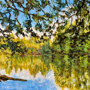 Light on the Trees by Terrill Welch