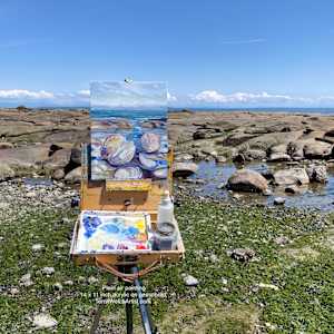 Between Shapes and Shells by Terrill Welch 