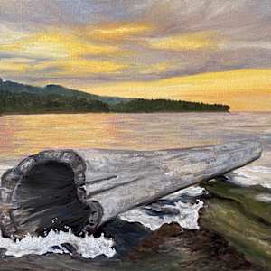 Twilight in Active Pass by Terrill Welch