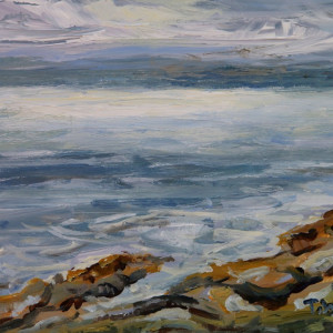 Morning Sea Strait of Georgia  by Terrill Welch