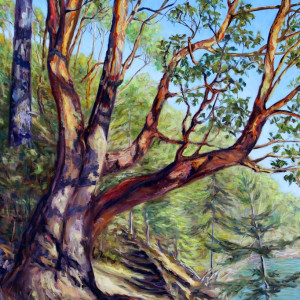 Storytelling Arbutus Tree Bennett Bay Mayne Island BC by Terrill Welch 