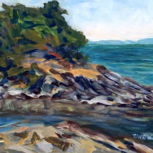 Winter Cove at Canoe Pass by Terrill Welch 