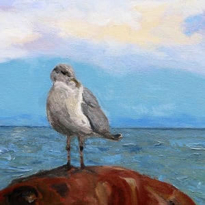 A Gull's Day by Terrill Welch  