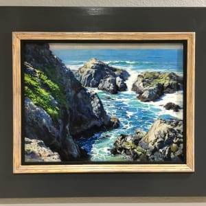 Bodega Bay Headlands 