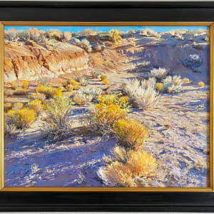 Chamiso Pardo - Rio Rancho by Daniel Mundy, Image 2.