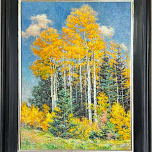 Aspens - Near Santa Fe by Daniel Mundy 