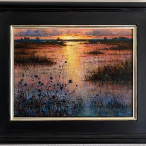 Sun Just Down - Wetlands by Daniel Mundy 