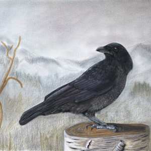 Murder She Drew - Solitary, Image 3.