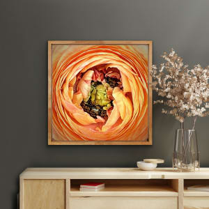 Inner Space - Heart of Ranunculus - #2/10 by Anne Morrison Rabe  Image: Inner Space - Heart of Ranunculus - #2/10 - In Situ