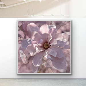 Sugar Magnolia - #2/10 by anne m rabe  Image: Sugar Magnolia In Situ (Large)