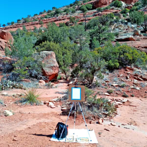 Sedona Wilderness by Mary Rush  Image: On location, set up and ready to paint.