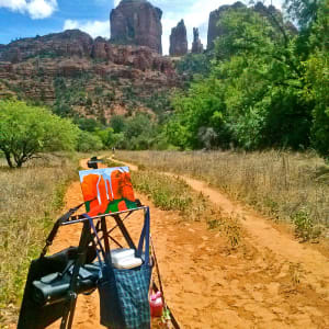 Eden - Cathedral Rock Sedona by Mary Rush  Image: Eden - In process, on the trail at Baldwin Trailhead, Sedona.