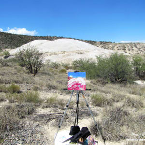 Salt Mine Giggles by Mary Rush  Image: Salt Mine Giggles in the field.