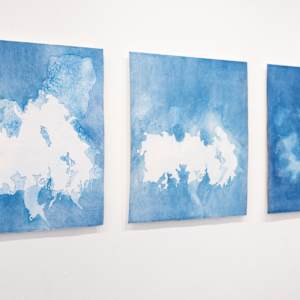 The Fireberg by Megan Broughton, Image 3.