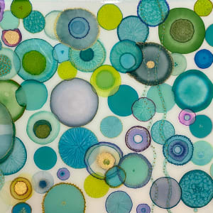 Chrysaora fuscescens by Melissa Flattery
