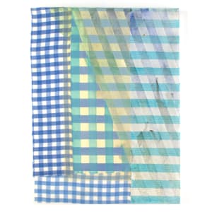 Gingham 16: Blue by Bruce Price