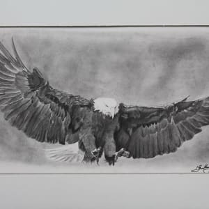 Eagle by Jana Renée