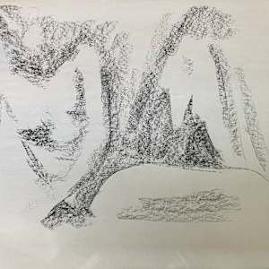 Shadow Charcoal Study by Jana Renée
