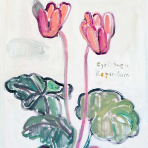 Cyclamen Repandum by Anne-Louise Ewen
