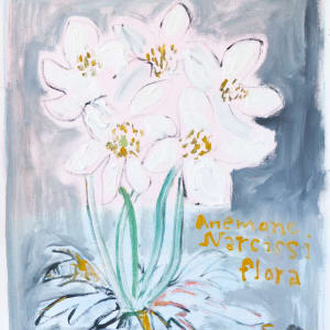 Anemone Narcissiflora
