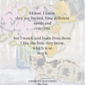 Cat Painting: I like the little they know, which is so much by Anne-Louise Ewen 