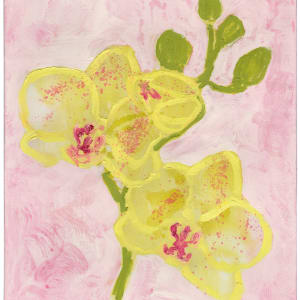 Orchids (No. 9) by Anne-Louise Ewen 