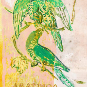 Aratinga (Sun Parakeets) by Anne-Louise Ewen