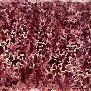 Untitled 180 by Bonnie Kaehler