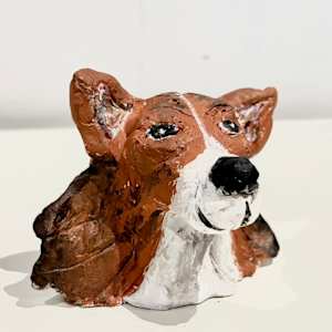 Collie by Daniel Hannon