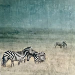 Zebra - Kuabudu (adore) by Nancy Falconi