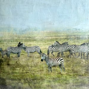 Zebra - Kabila I (tribe) by Nancy Falconi