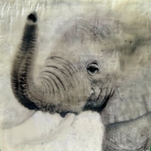 Uplifted by Nancy Falconi