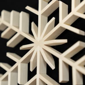 Aspen Flake by Robert E LeBlanc 