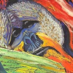 Zoo Life by Georgia Grover