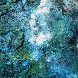 Common Ground (No. 9) by Katherine Filice 