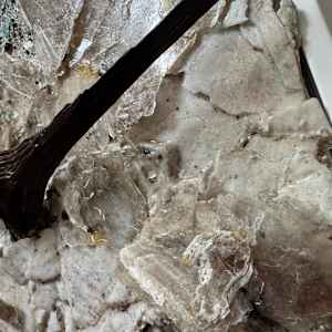 Common Ground (No. 2) by Katherine Filice 